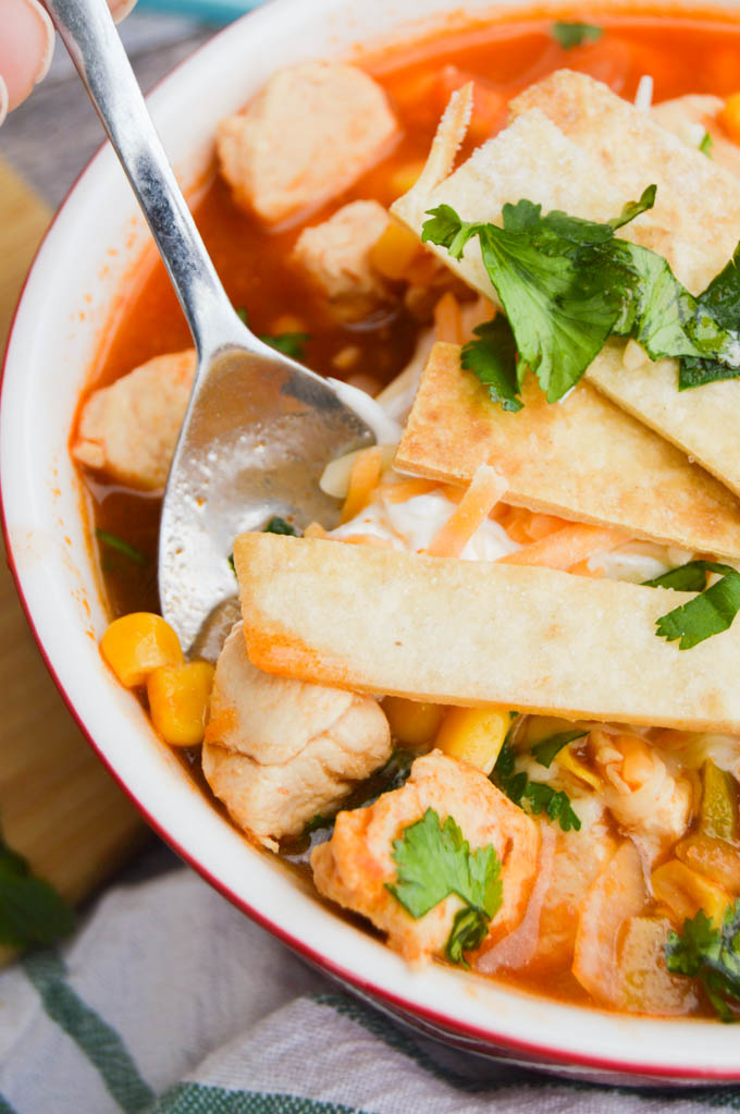 Closeup of Chicken tortilla soup