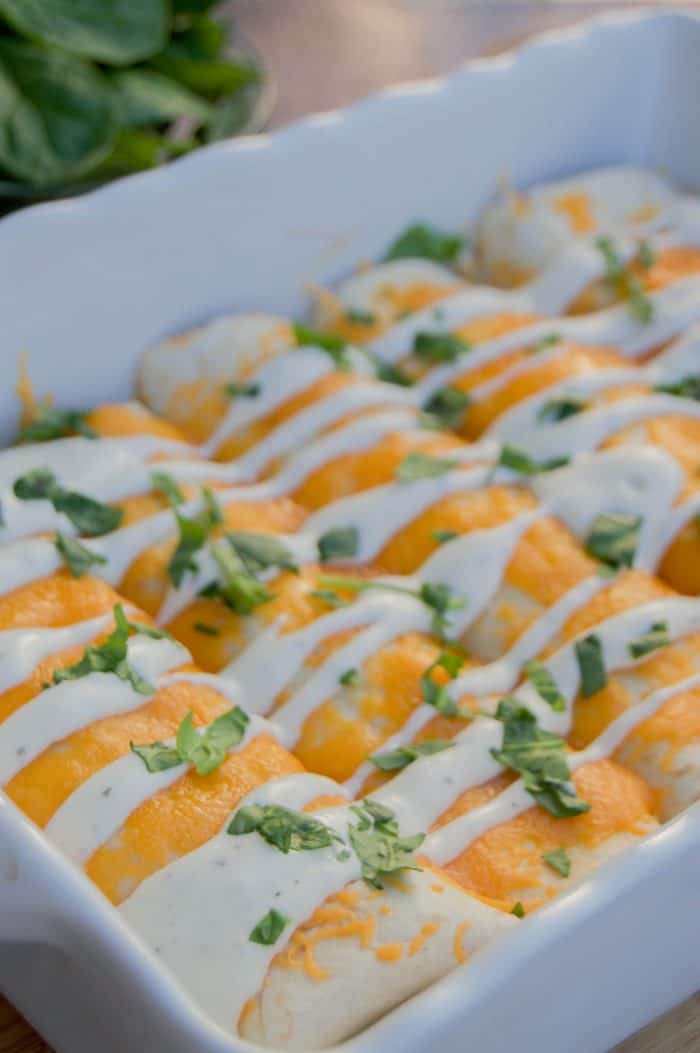 Cheesy Ranch Chicken Enchiladas The Diary of a Real Housewife