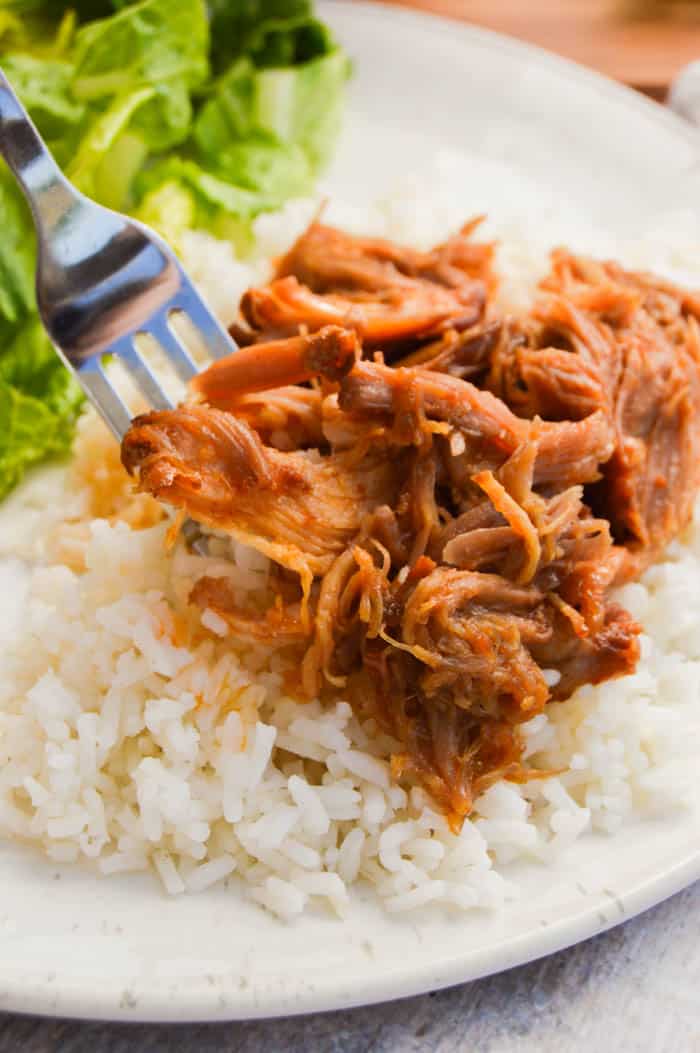 Slow Cooker Sweet Salsa Pork!