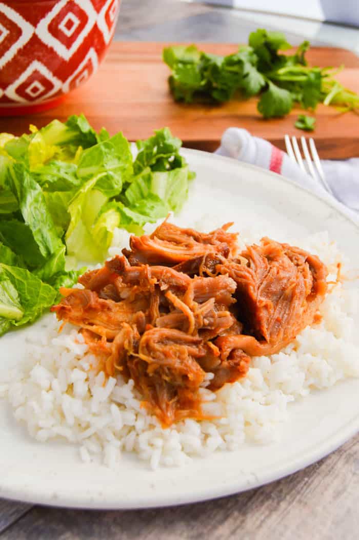 Slow Cooker Sweet Salsa Pork!