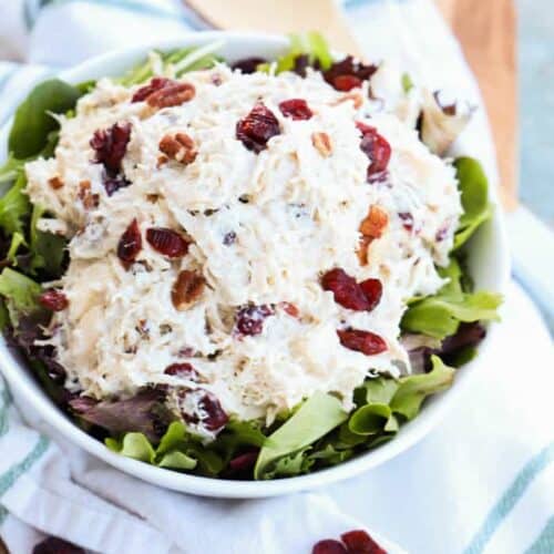 Apple Pecan Greek Yogurt Chicken Salad