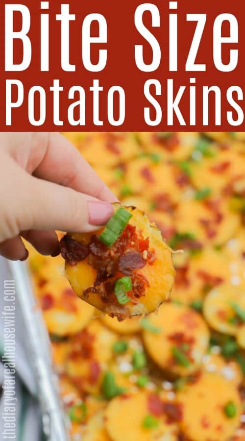 Bite Size Potato Skins