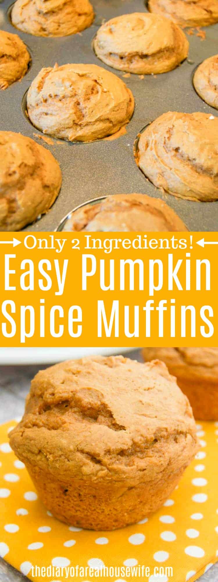 2 Ingredient Pumpkin Spice Muffins