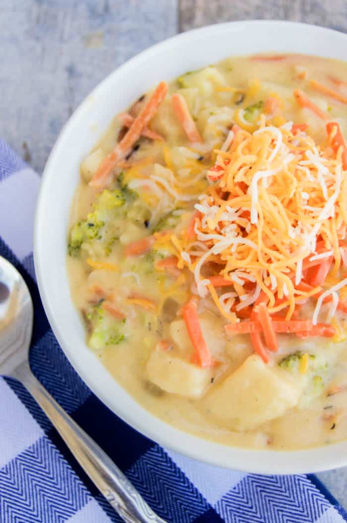 Cheesy Vegetable Chowder