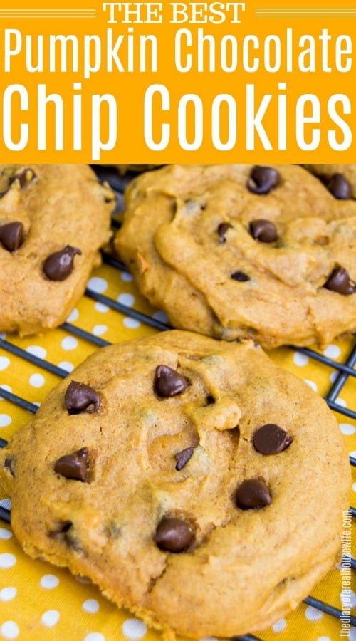 Pumpkin Chocolate Chip Cookies