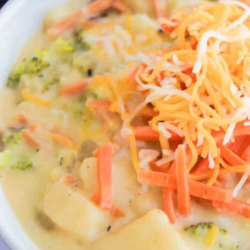 Cheesy Vegetable Chowder