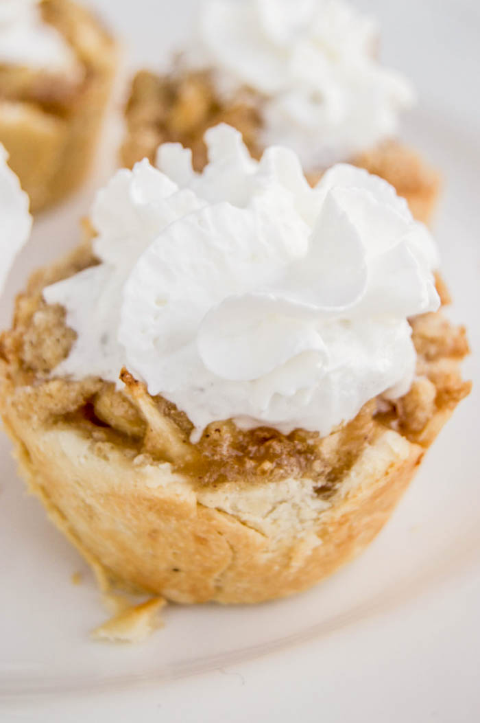 Mini Muffin Tin Apple Pies • The Diary of a Real Housewife