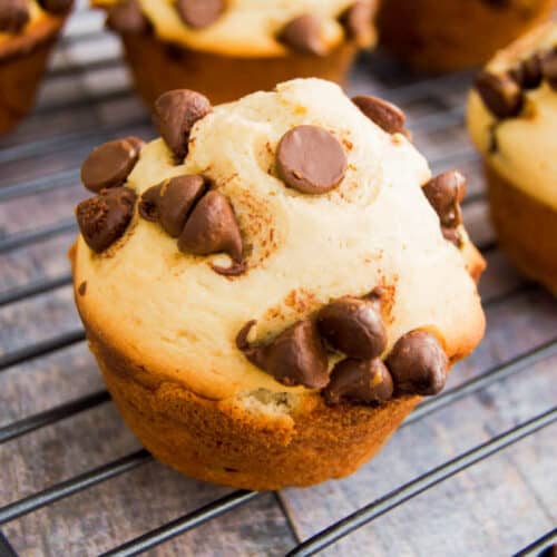 Chocolate Chip Muffins