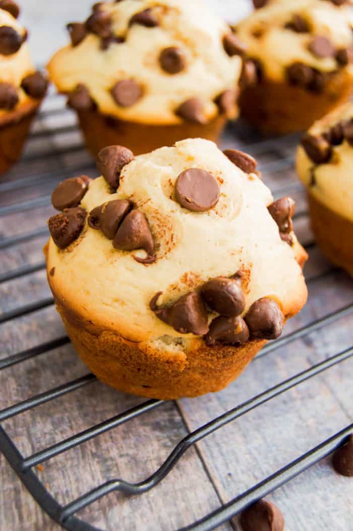 Chocolate Chip Muffins