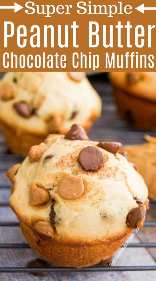 Peanut Butter Chocolate Chip Muffins