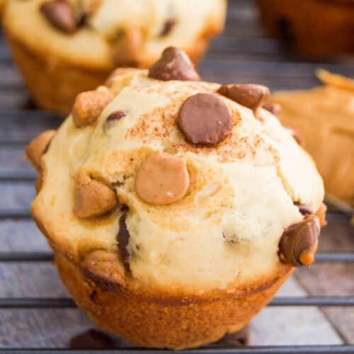 Peanut Butter Chocolate Chip Muffins