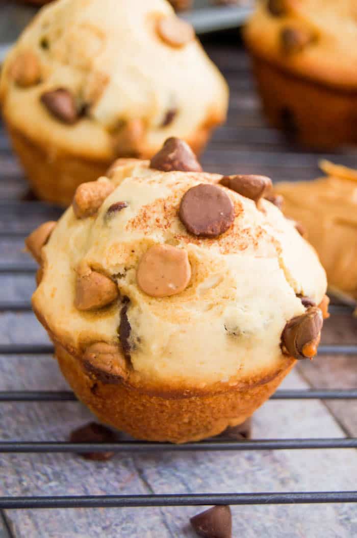 Peanut Butter Chocolate Chip Muffins