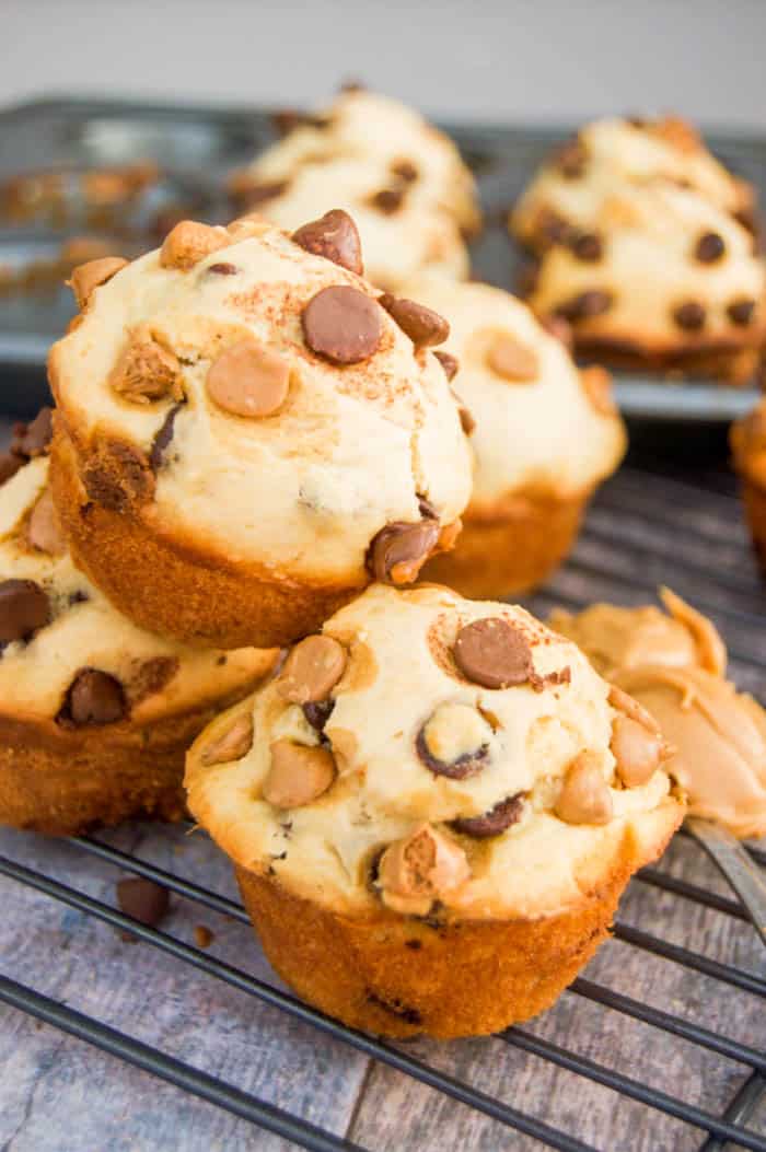 Peanut Butter Chocolate Chip Muffins