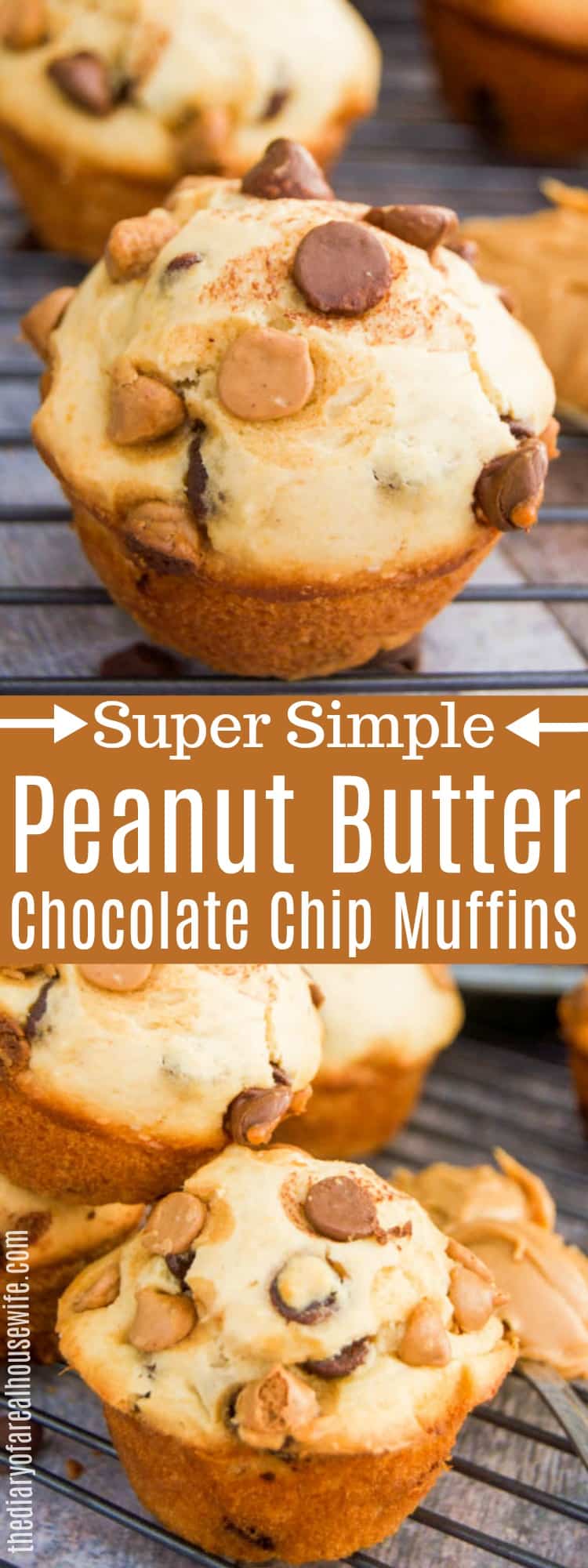 Peanut Butter Chocolate Chip Muffins