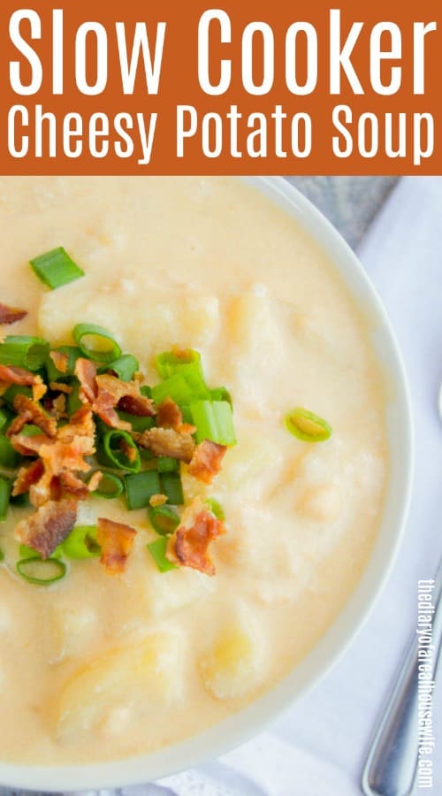 Slow Cooker Cheesy Potato Soup • The Diary of a Real Housewife