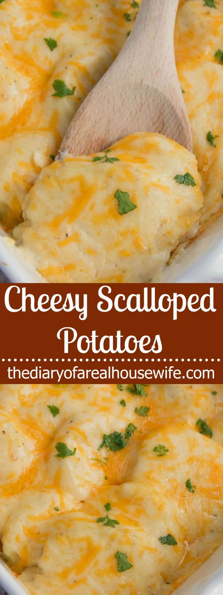 Cheesy Scalloped Potatoes