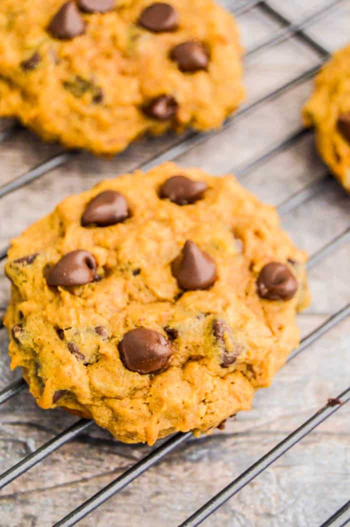 Pumpkin Oatmeal Chocolate Chip Cookie • The Diary of a Real Housewife