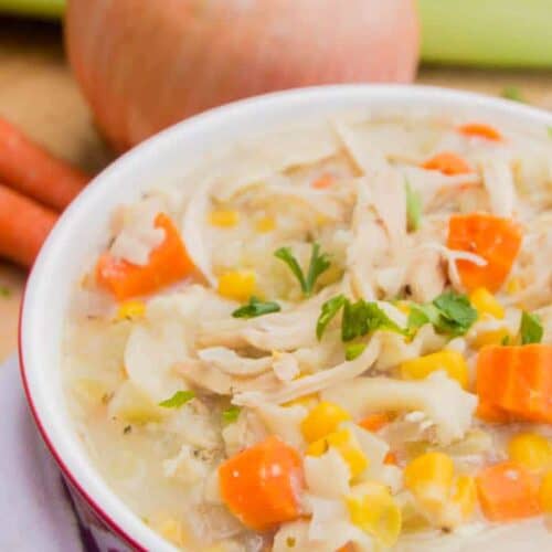 Slow Cooker Creamy Chicken and Noodle Soup
