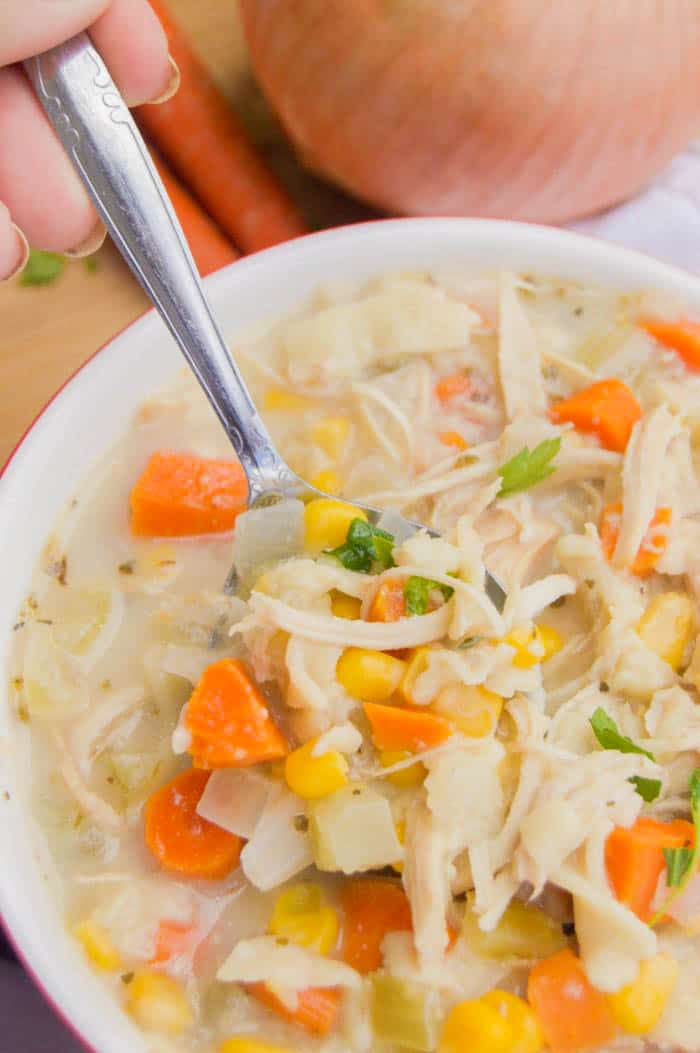 Slow Cooker Creamy Chicken and Noodle Soup