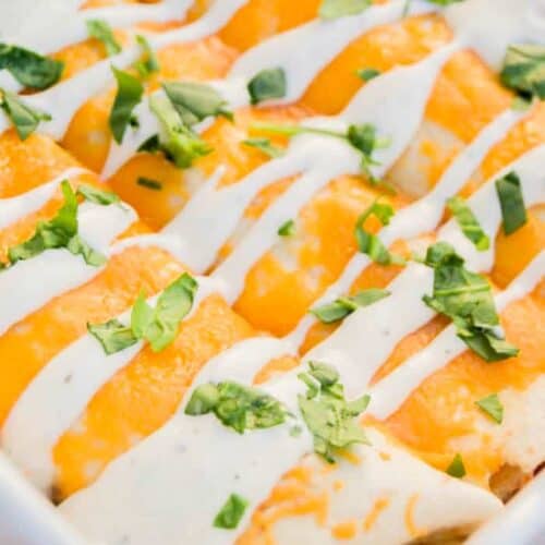 Cheesy Ranch Chicken Enchiladas