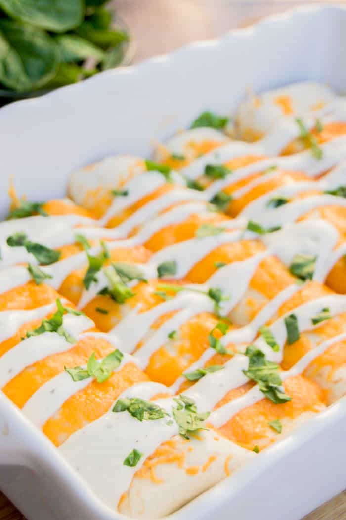 Cheesy Ranch Chicken Enchiladas in white baking dish