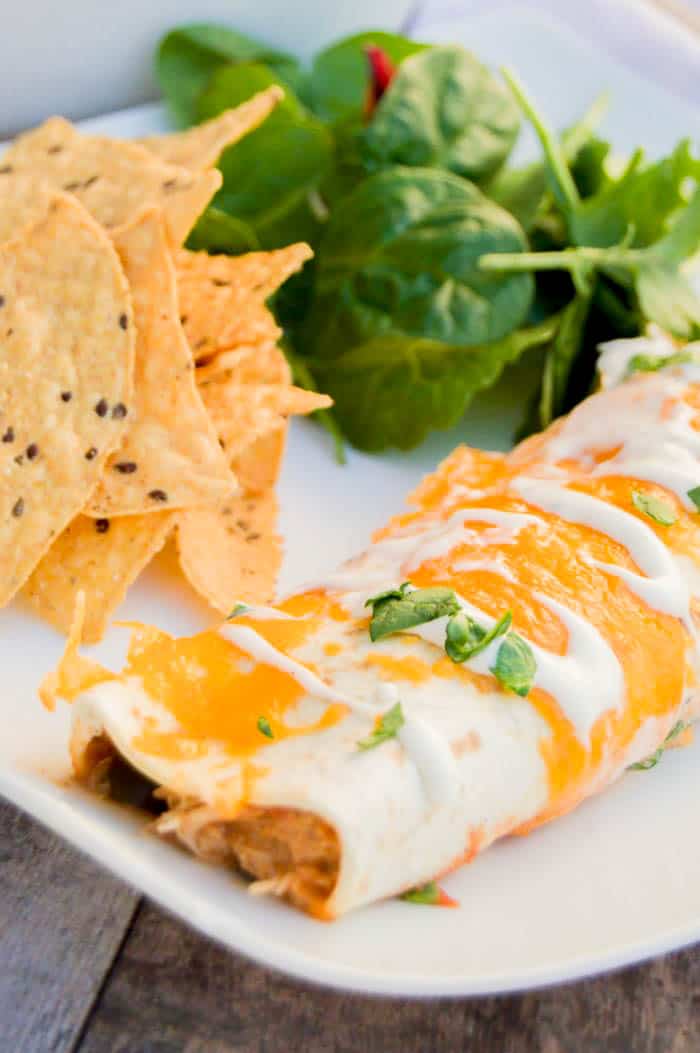 Ranch enchilada on white plate with tortilla chips and a salad