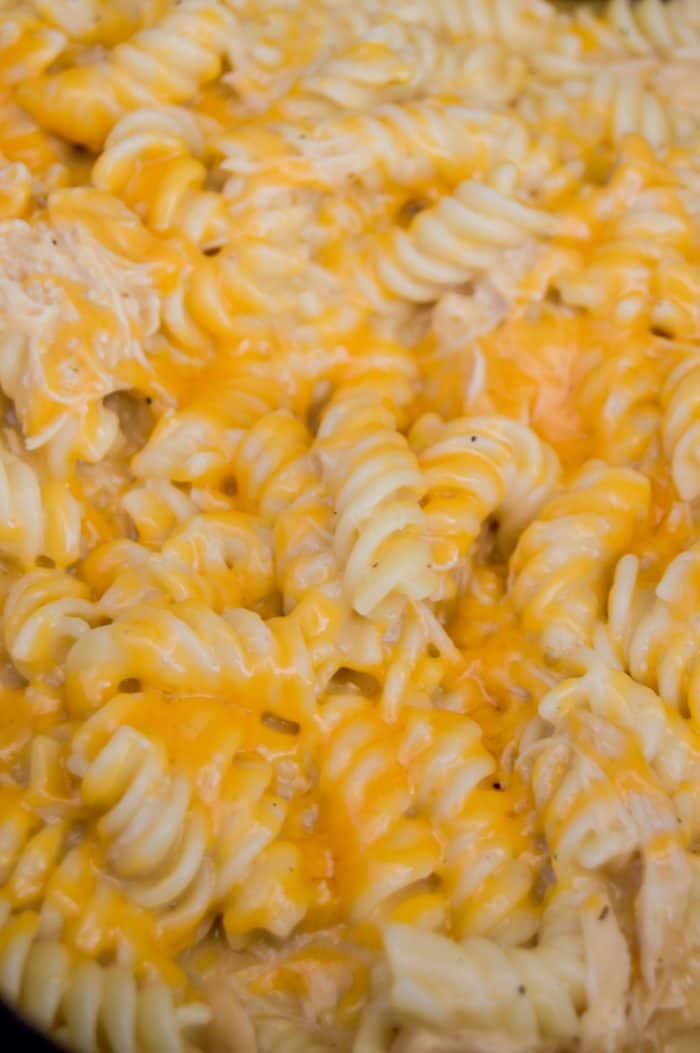 Slow Cooker Cheesy Chicken Rotini