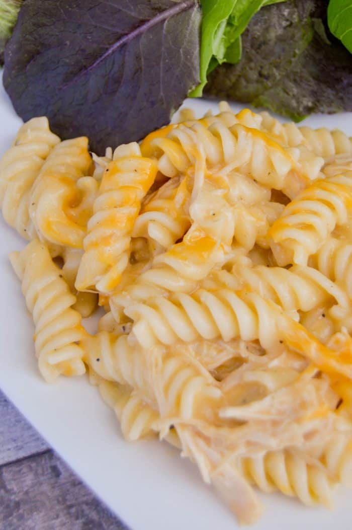 Slow Cooker Cheesy Chicken Rotini