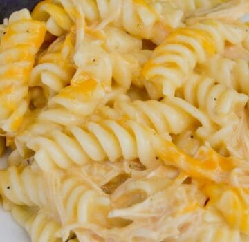 Slow Cooker Cheesy Chicken Rotini