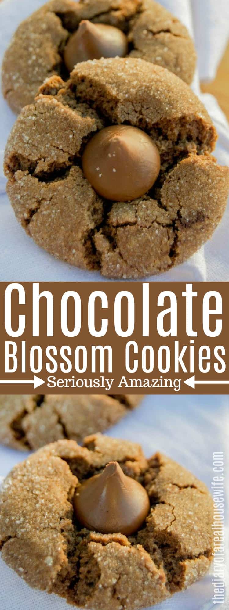 Chocolate Blossom Cookies • The Diary of a Real Housewife