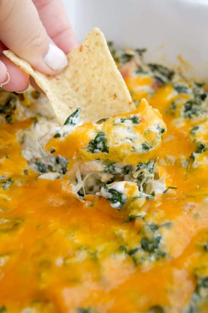 Dipping a chip in Cheesy Bacon Spinach Dip