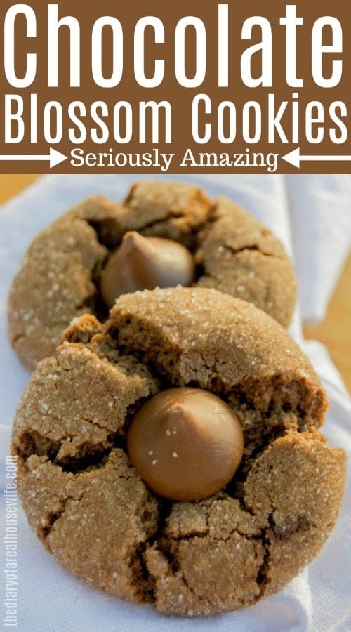 Chocolate Blossom Cookies