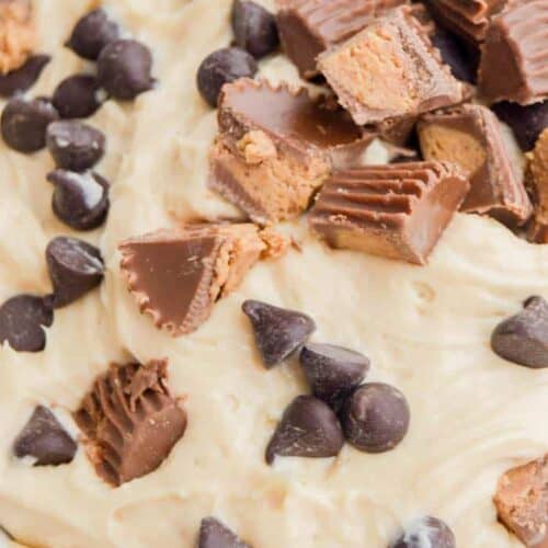 Chocolate Chip Peanut Butter Cup Cheesecake Dip