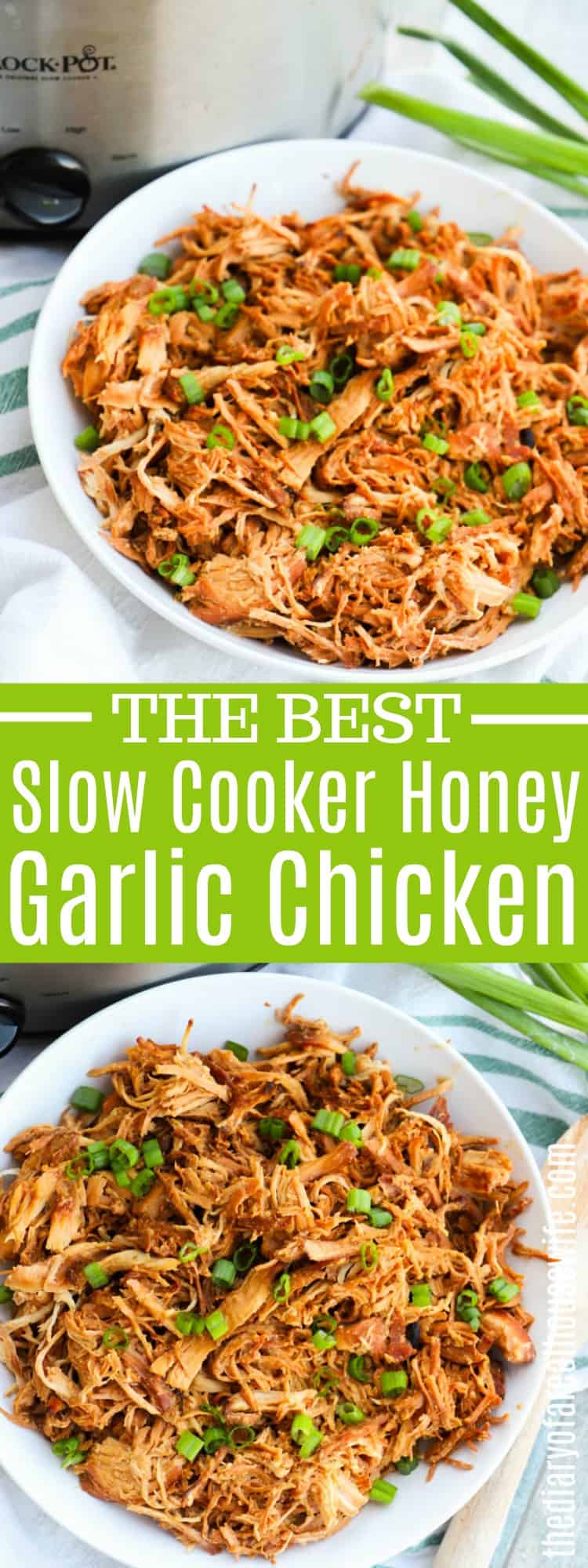 Slow Cooker Honey Garlic Chicken