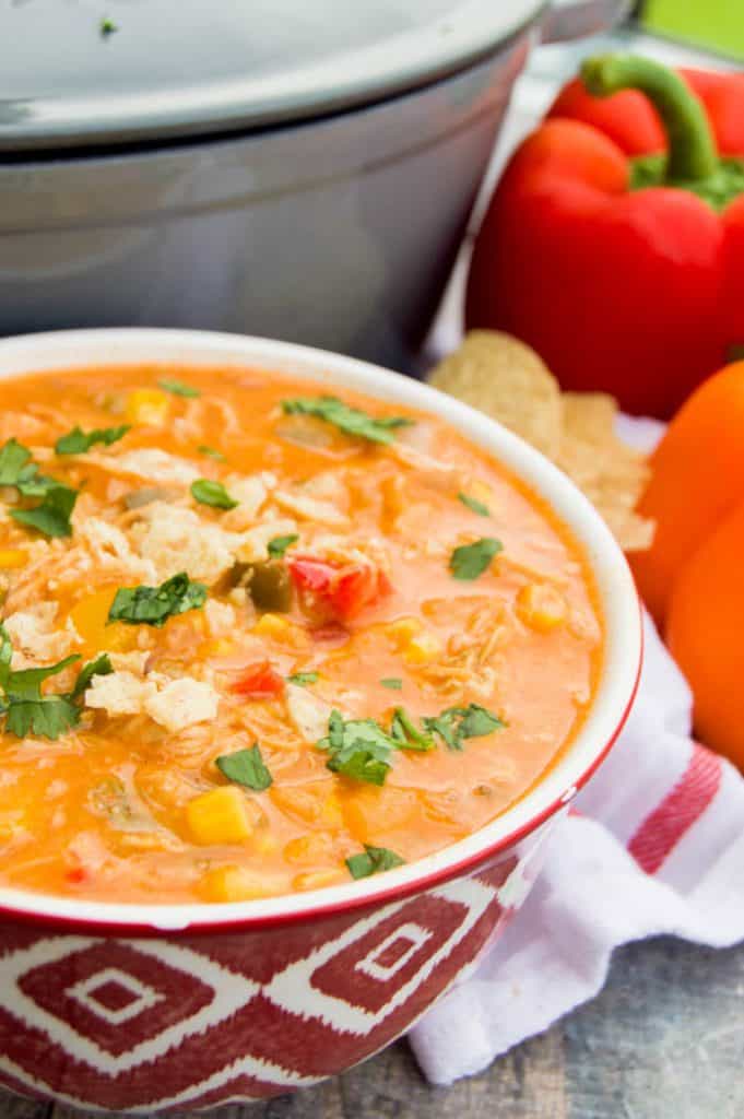 Creamy Chicken Fajita Soup • The Diary of a Real Housewife