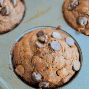 Double Chocolate Oatmeal Muffins