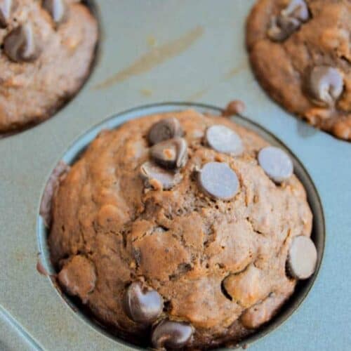 Double Chocolate Oatmeal Muffins