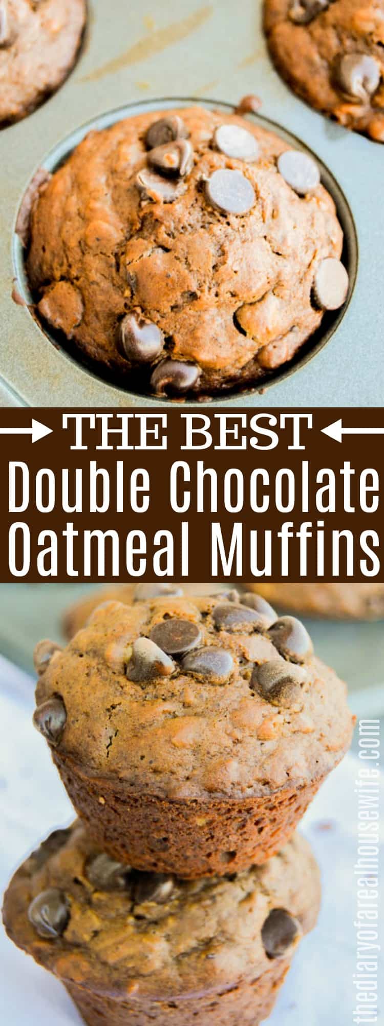 Double Chocolate Oatmeal Muffins