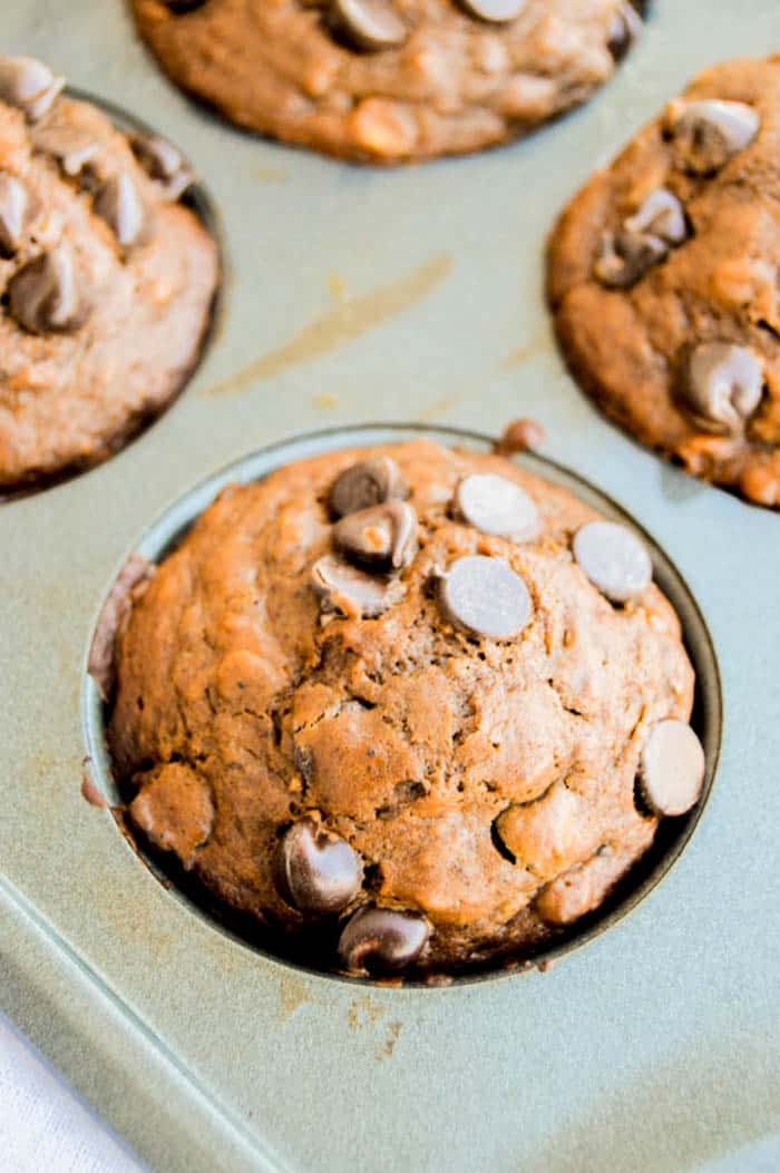 Double Chocolate Oatmeal Muffins