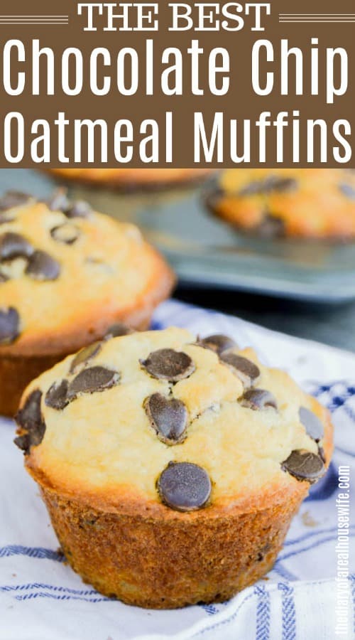 Chocolate Chip Oatmeal Muffins