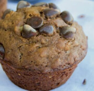 Double Chocolate Oatmeal Muffins