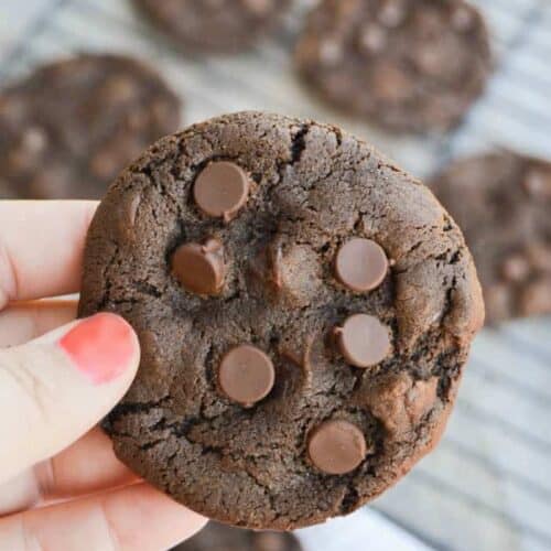 Chocolate Chocolate Chip Cookie