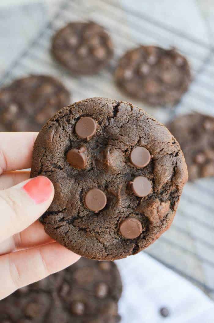 Chocolate Chocolate Chip cookies in hand closeup.