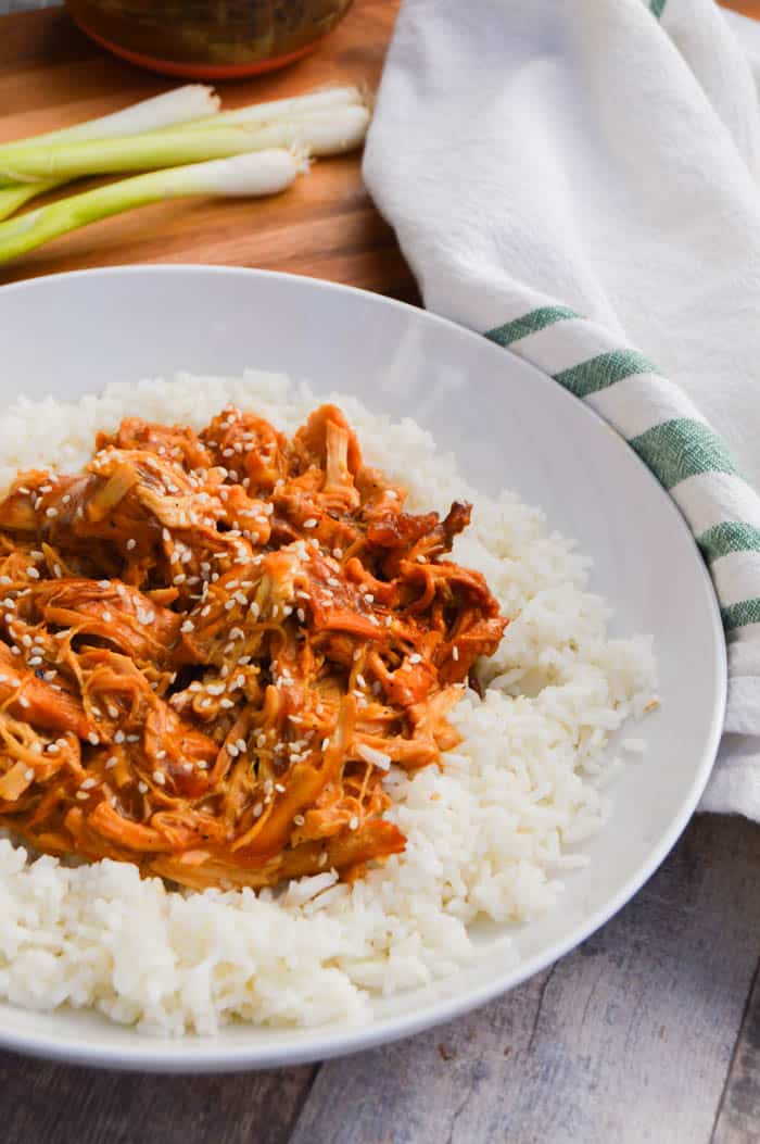 Slow Cooker Chicken Teriyaki