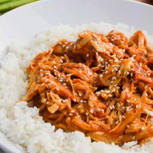 Slow Cooker Chicken Teriyaki