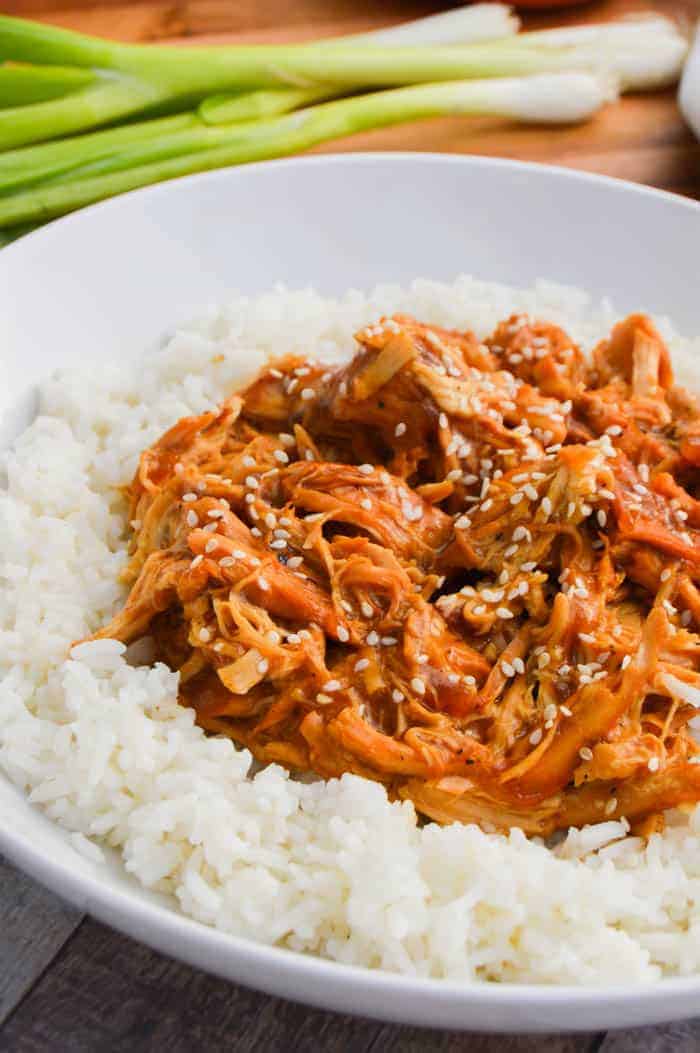 Slow Cooker Chicken Teriyaki