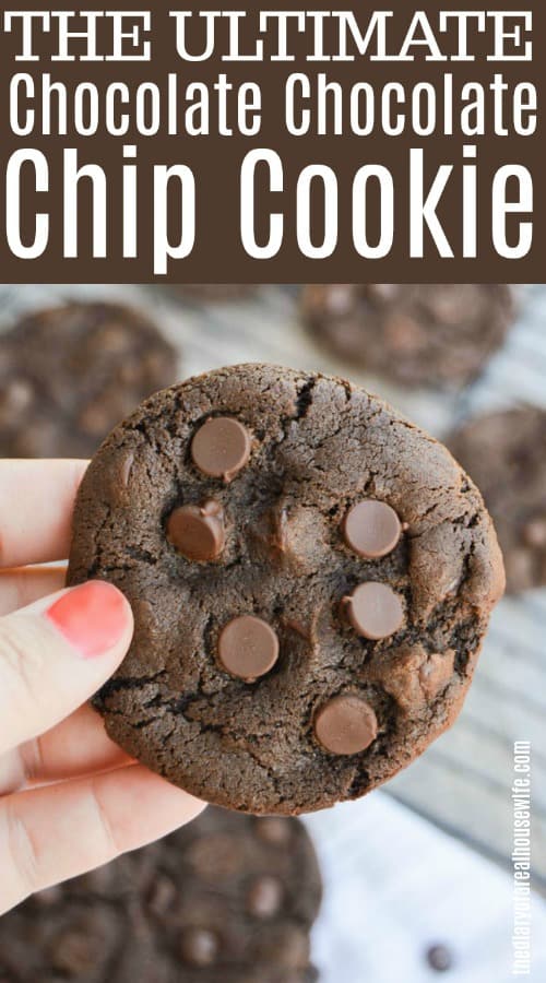 chocolate chip chocolate chip