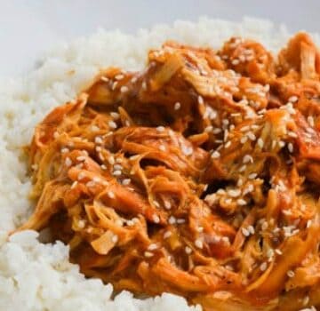 Slow Cooker Chicken Teriyaki