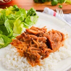 Slow Cooker Sweet Salsa Pork