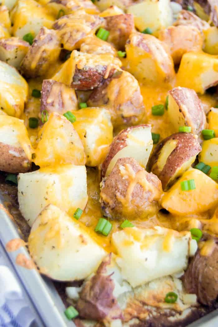 Sheet Pan Cheesy Ranch Potatoes baked and covered in cheese